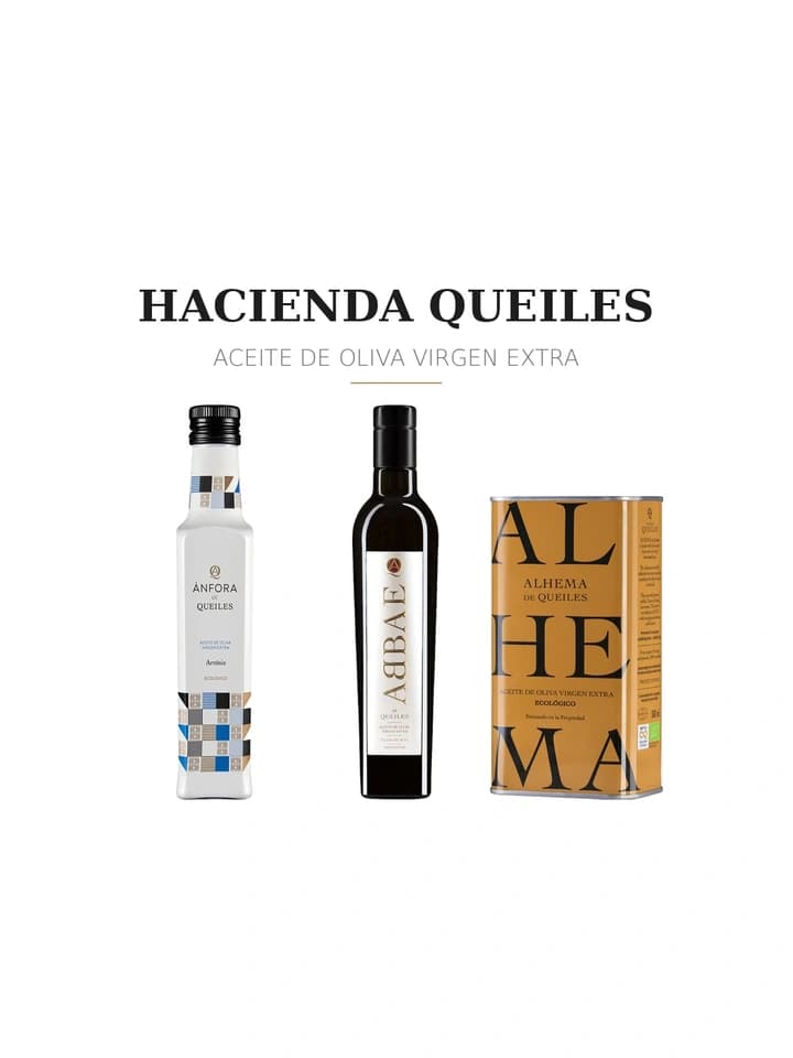 Logotipo de Hacienda Queiles