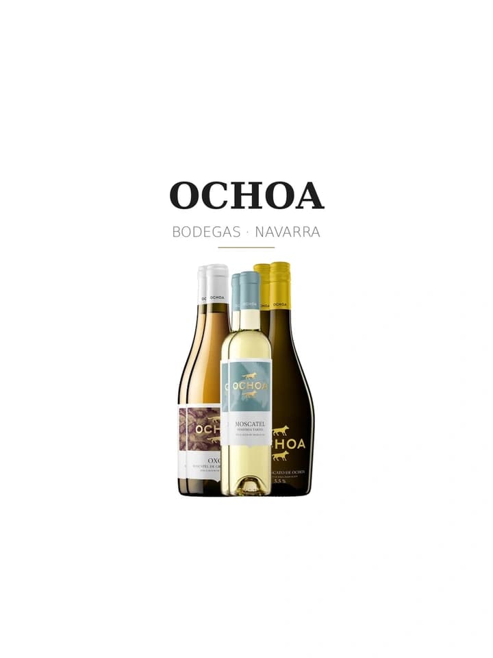 Logotipo de Ochoa