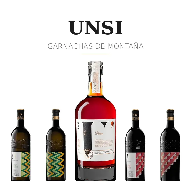 Logotipo de Unsi